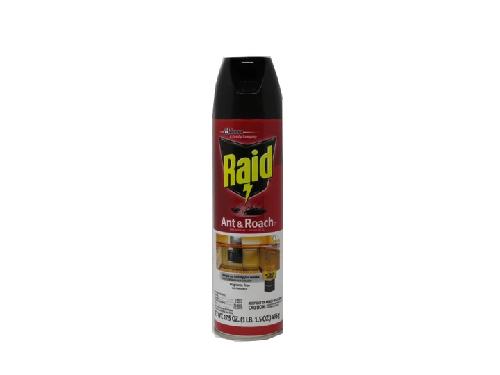 Raid Ant & Roach Fragrance 12/17.5 Oz