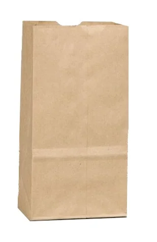 Paper Bag`s #12/500 Ct