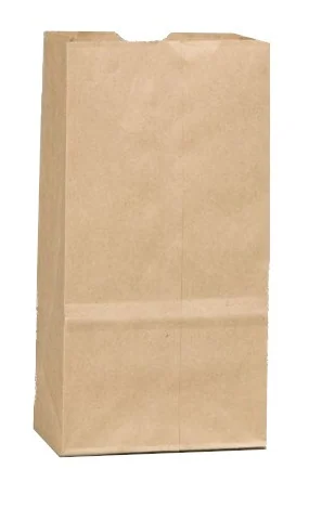 Paper Bag`s #4/500 Ct