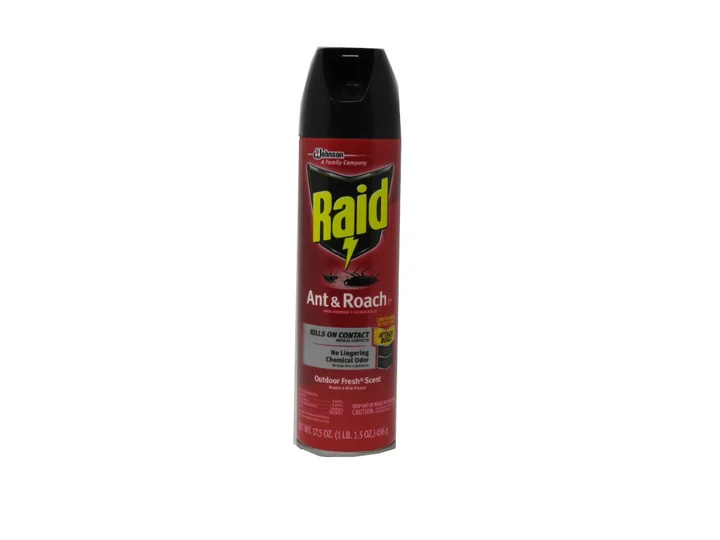 Raid Ant & Roach Outdoor 12/17.5 Oz