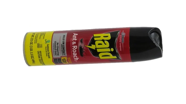 Raid Ant & Roach Lemon 12/17.5 Oz