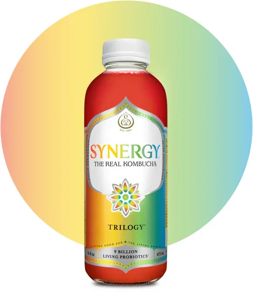 GT’s Synergy Kombucha